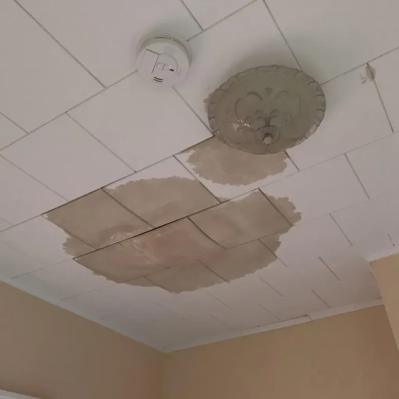 Ceiling Water Damage Repair in Masontown, PA