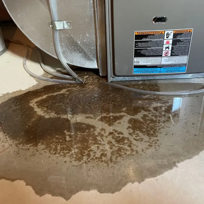 Pipe Burst and Leak Restoration in Masontown, PA