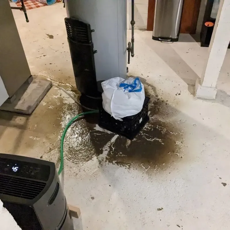 Sewage Backup Cleanup Service in Masontown, PA